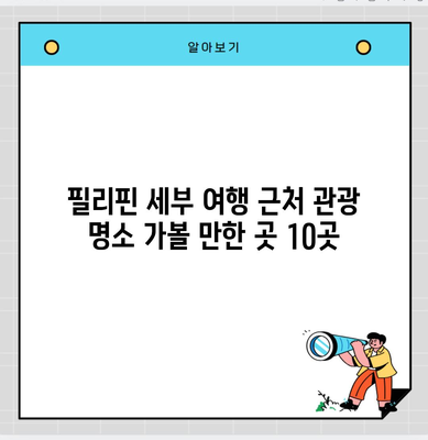 필리핀 세부 여행 근처 관광 명소 가볼 만한 곳 10곳