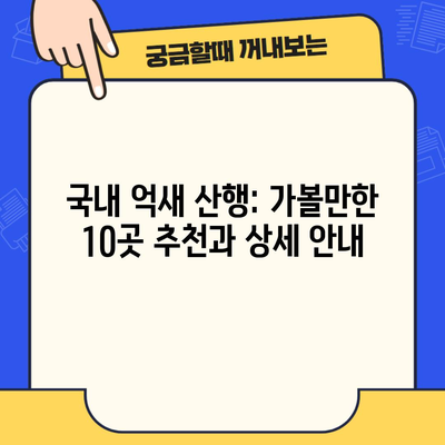 국내 억새 산행: 가볼만한 10곳 추천과 상세 안내