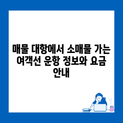 매물 대항에서 소매물 가는 여객선 운항 정보와 요금 안내