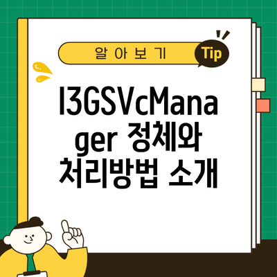 I3GSVcManager 정체와 처리방법 소개