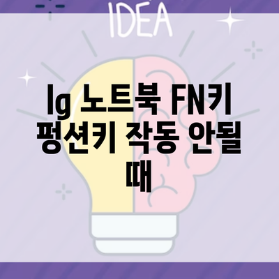 lg 노트북 FN키 펑션키 작동 안될 때