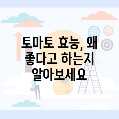 토마토 효능, 왜 좋다고 하는지 알아보세요