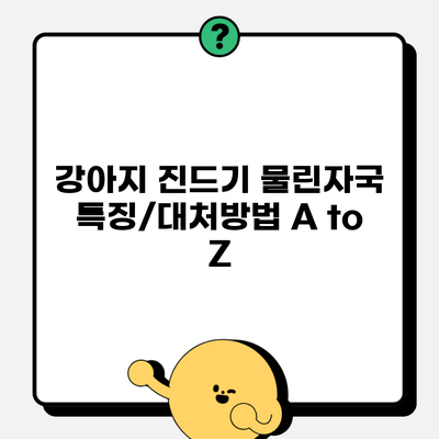강아지 진드기 물린자국 특징/대처방법 A to Z