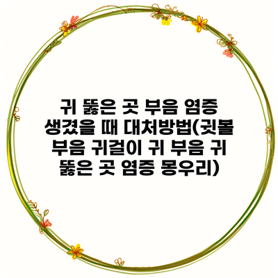 귀 뚫은 곳 부음 염증 생겼을 때 대처방법(귓볼 부음 귀걸이 귀 부음 귀 뚫은 곳 염증 몽우리)