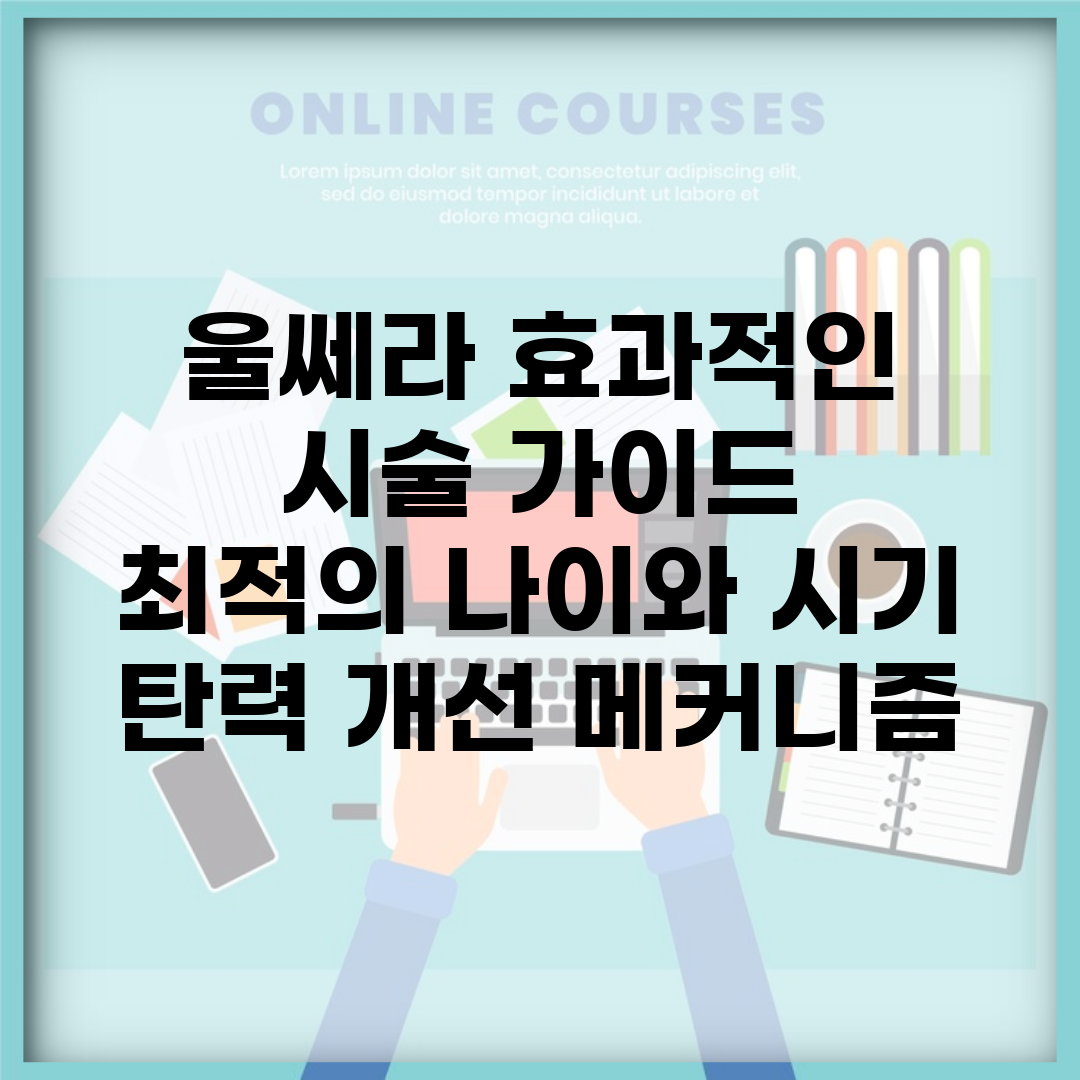 울쎄라 효과적인 시술 가이드 | 최적의 나이와 시기 | 탄력 개선 메커니즘