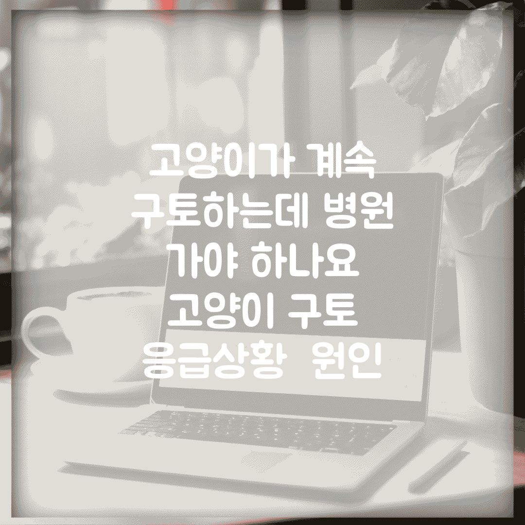 고양이가 계속 구토하는데 병원 가야 하나요 | 고양이 구토 | 응급상황 | 원인