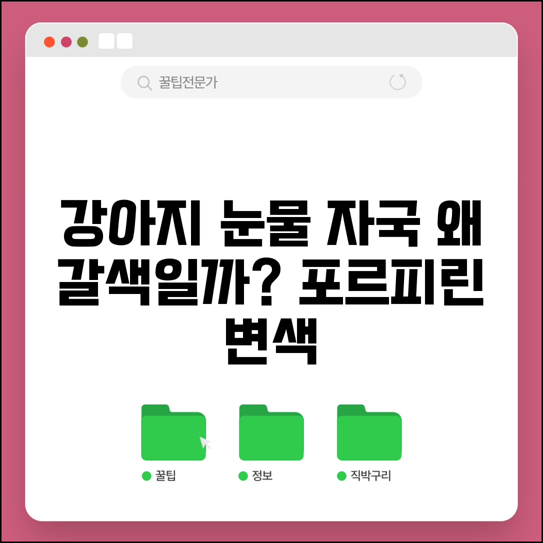 강아지 눈에 눈물 자국 갈색으로 변하는 이유가 뭔가요 | 강아지눈물자국 | 포르피린 | 변색