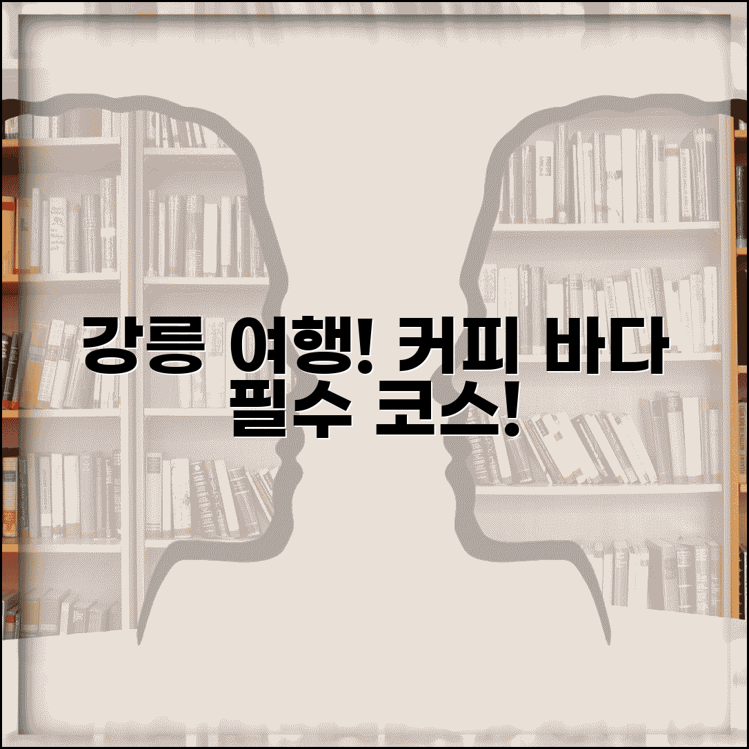 강릉갈만한곳 커피거리 바다 | 강릉 여행 코스와 관광 명소