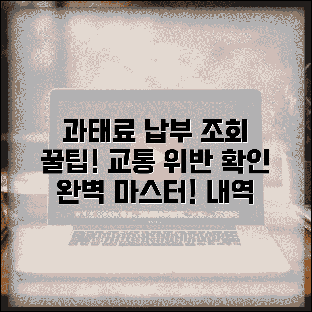 과태료 납부 조회 교통위반 확인 | 과태료 납부 내역 완벽 조회법