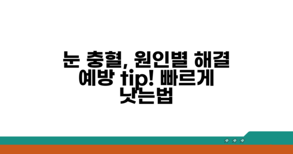 눈 충혈, 증상별 해결책과 예방법